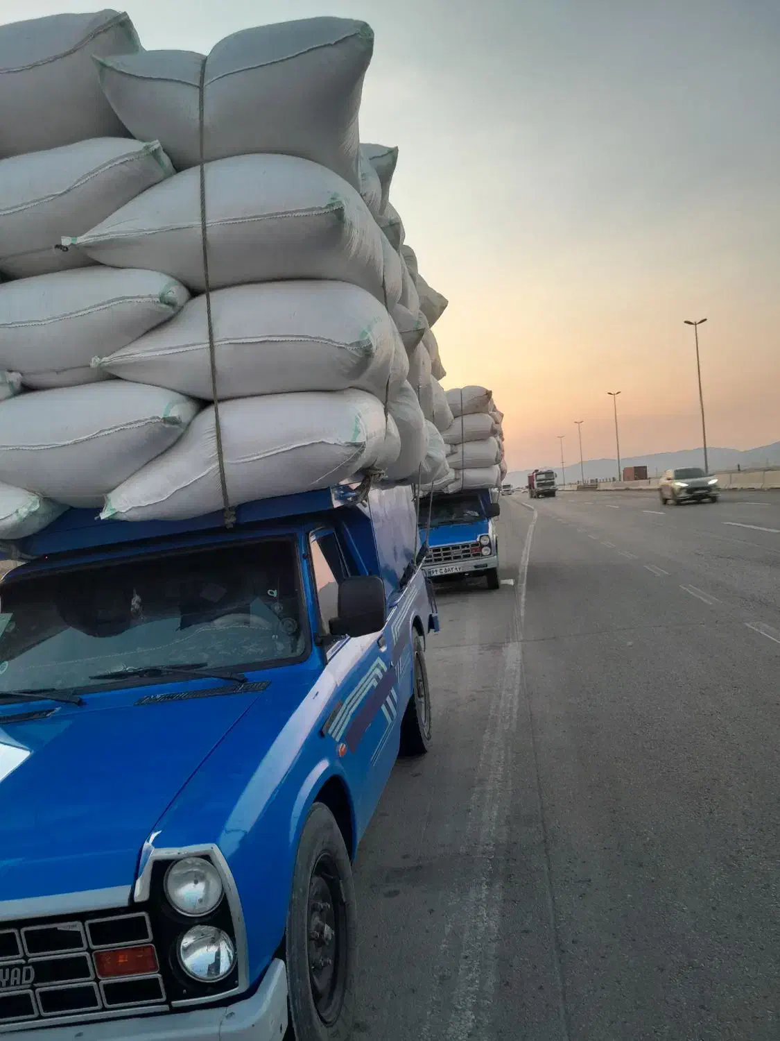 کاه گندم و سیلو|عمدهفروشی|رامسر, |دیوار