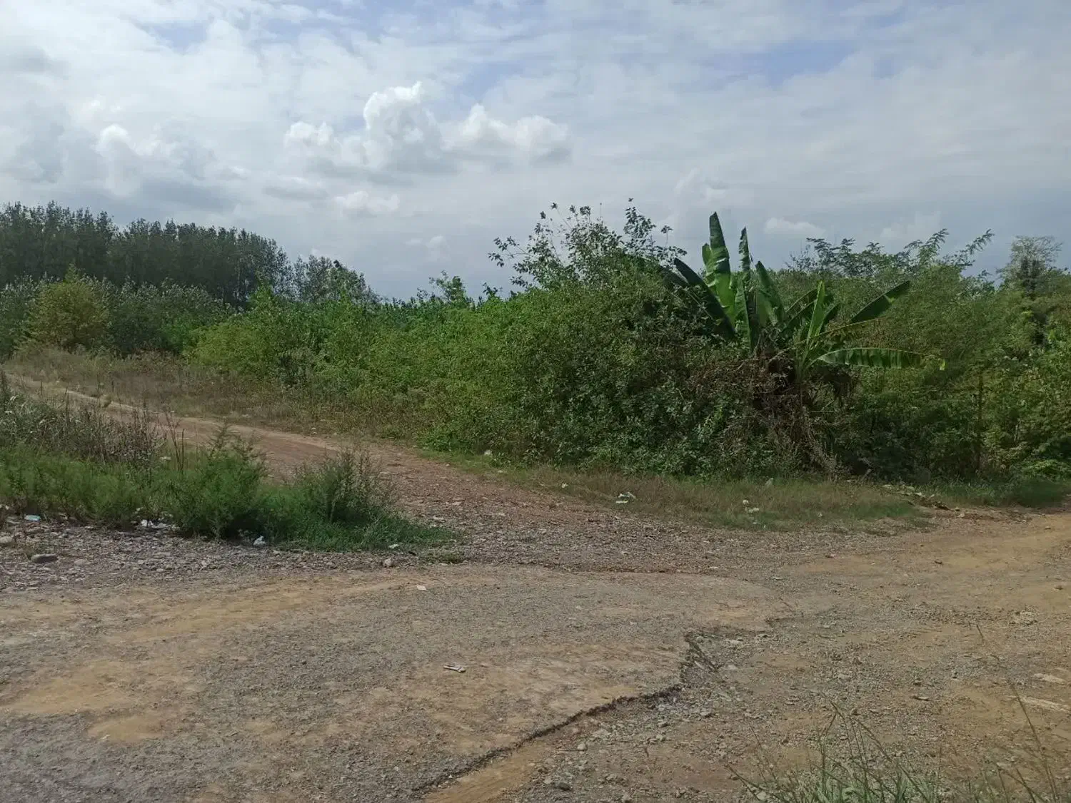 فروش زمین|فروش زمین و ملک کلنگی|طاهرگوراب, |دیوار