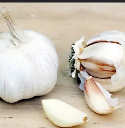 سیر همدان ۲۵۰|خوردنی و آشامیدنی|نیشابور, ناسیونال|دیوار