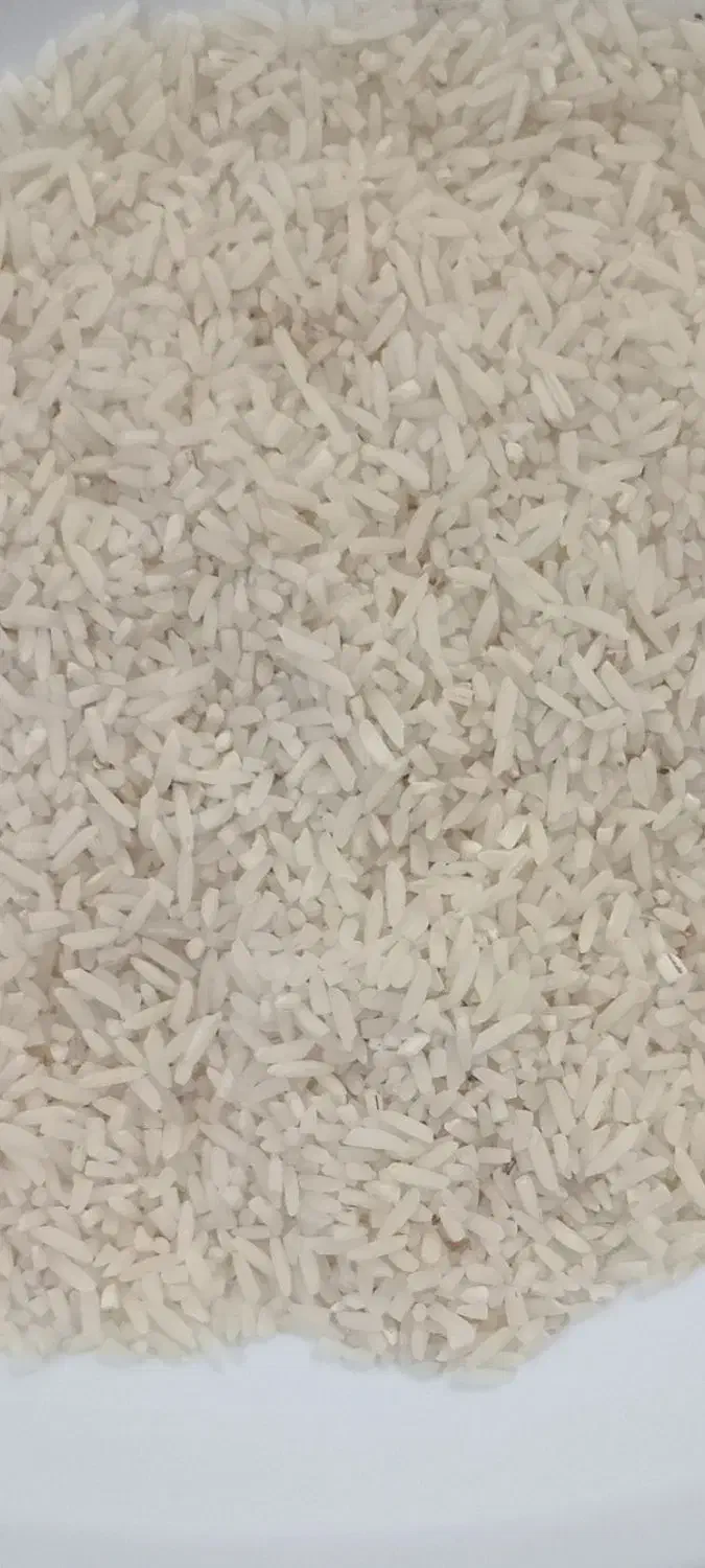 لاشه برنج هاشمی|خوردنی و آشامیدنی|رشت, حافظ آباد|دیوار