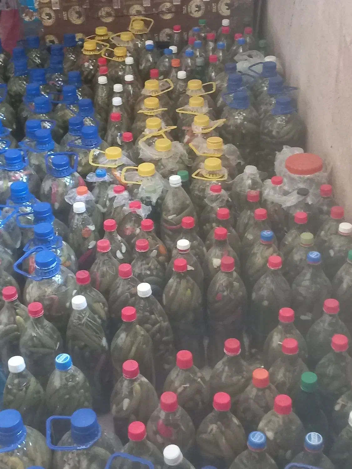 خیارشور|خوردنی و آشامیدنی|کوهدشت, |دیوار