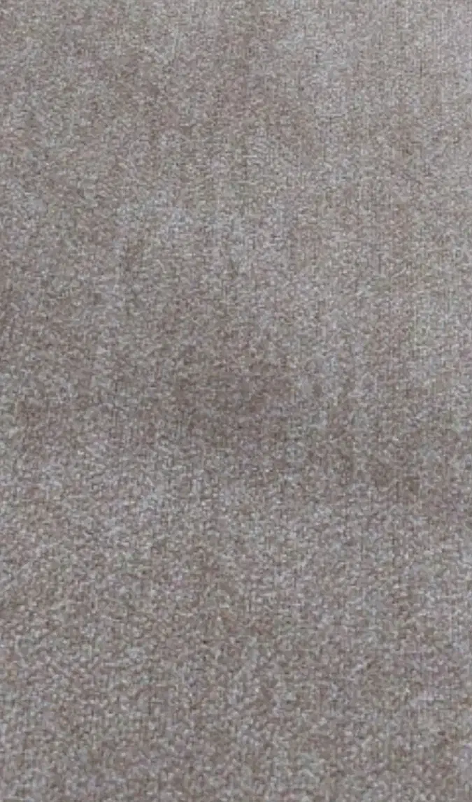 موکت ظریف 6 متری مصور مدل نویان کرمی روشن|موکت|قم, یزدانشهر|دیوار