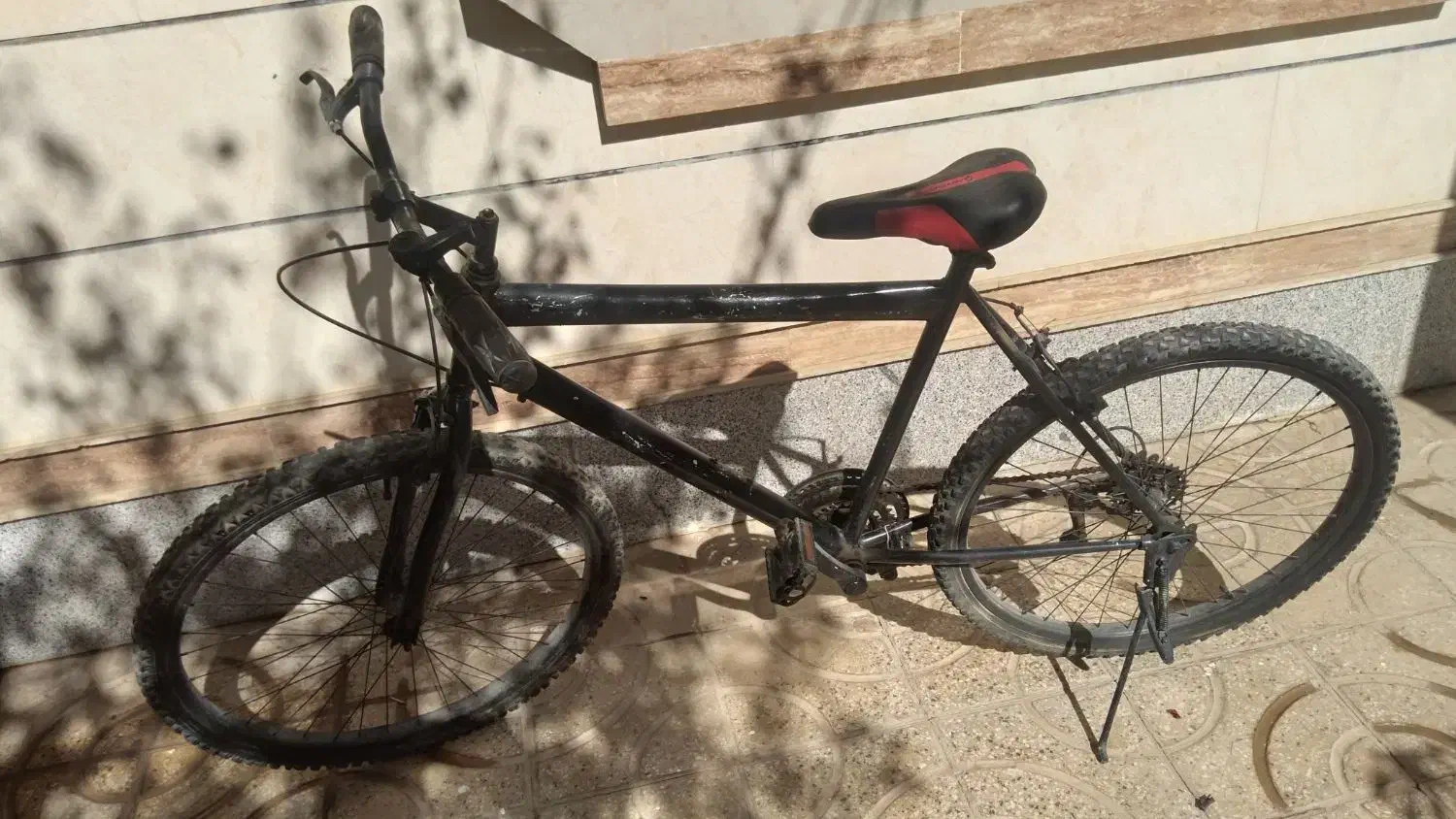 دوچرخه|دوچرخه، اسکیت، اسکوتر|بهار, |دیوار