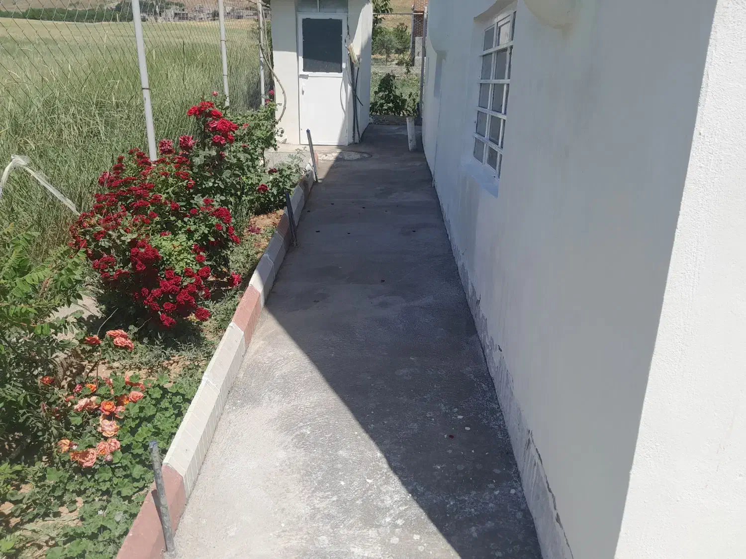 سیمان کـاری و بتون|خدمات پیشه و مهارت|سقز, |دیوار