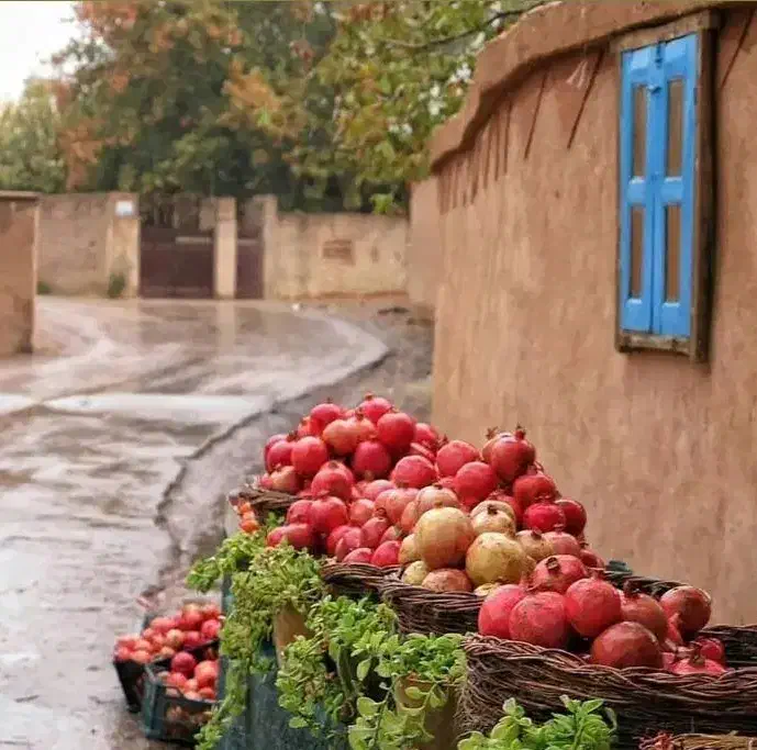 نقشه ایران|فرش|شیراز, قصرالدشت|دیوار