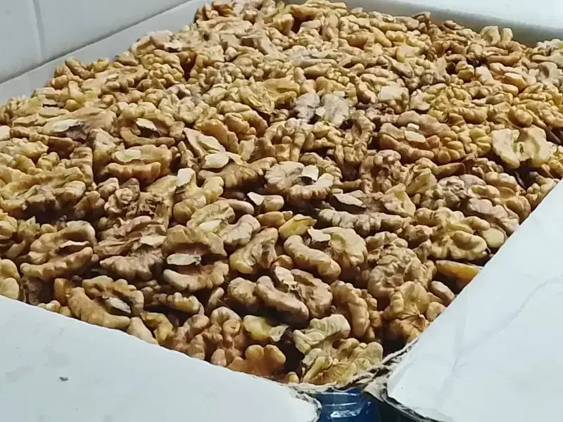 مغز گردو ایرانی|خوردنی و آشامیدنی|قم, انصار‌الحسین|دیوار