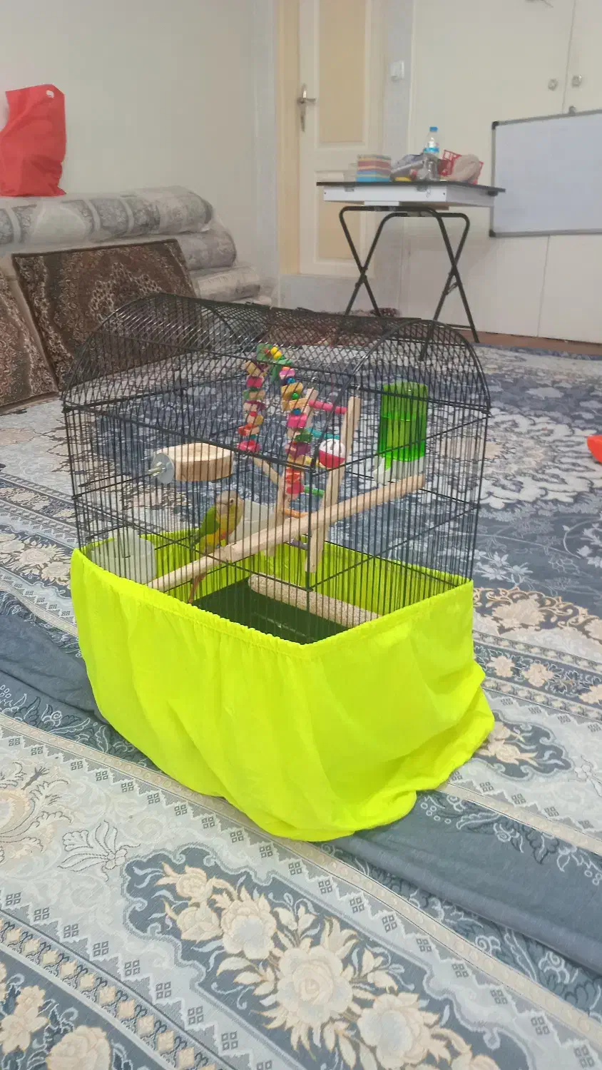 قیمت‌۵میلیون‌تومان‌|پرنده|تهران, جیحون|دیوار