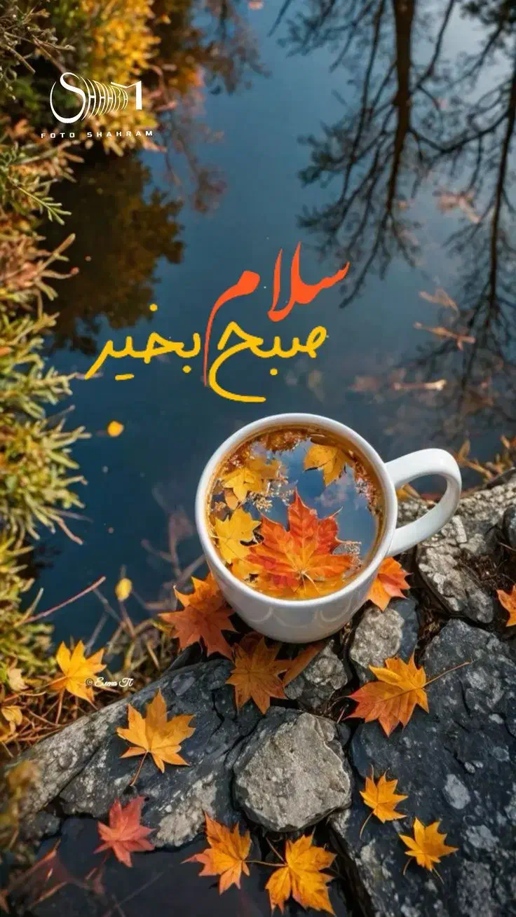 راهنمایی کنید|فعالیت داوطلبانه|تهران, قزل قلعه|دیوار