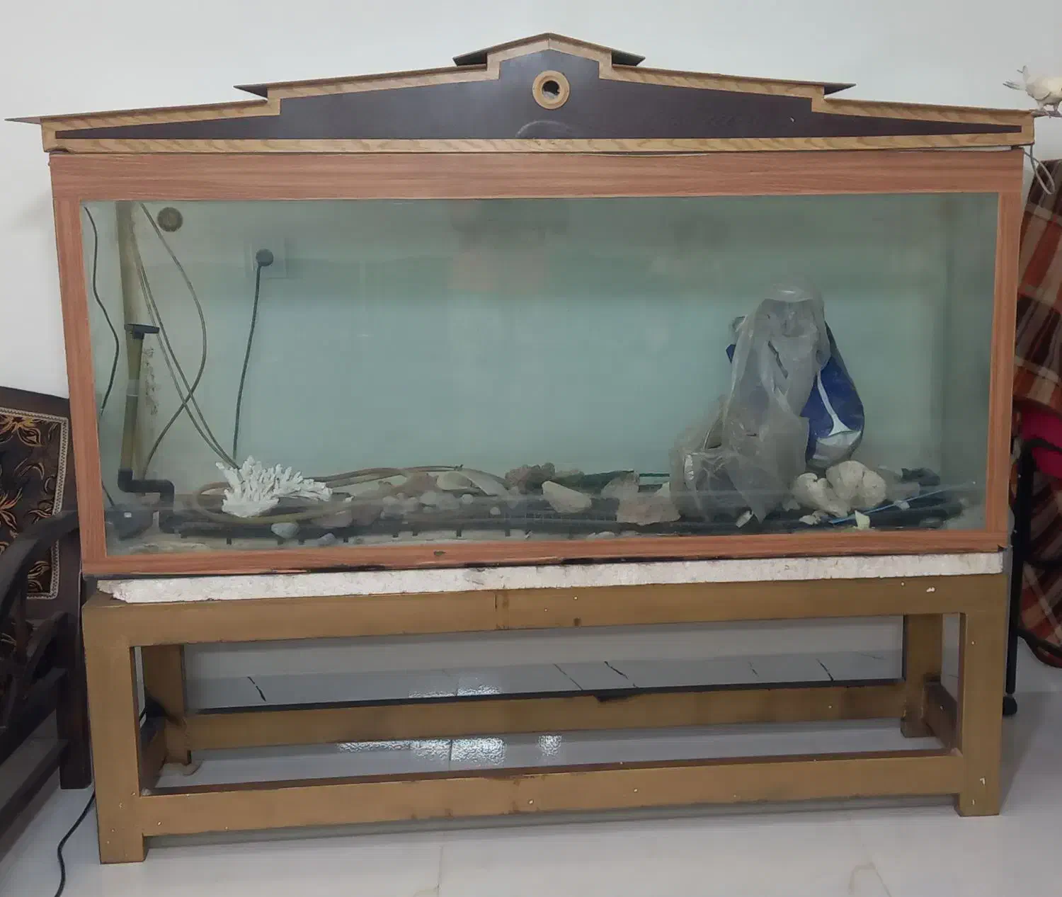 آکواریوم|ماهی|اصفهان, باغ فدک|دیوار