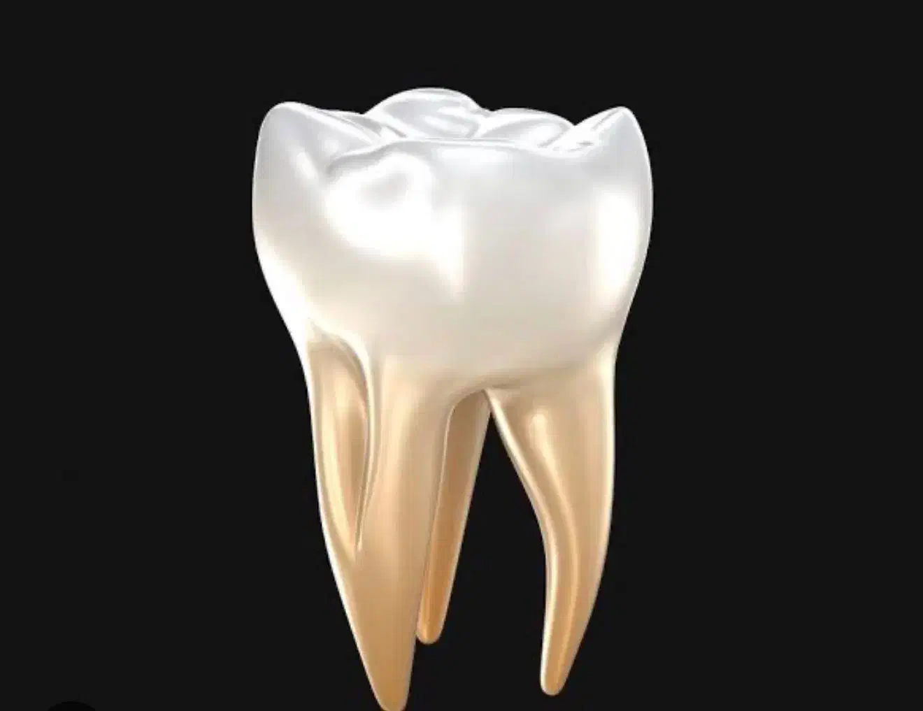 منشی و دستیار مطب دندانپزشکی|استخدام درمانی، زیبایی، بهداشتی|تهران, شهرک رضویه|دیوار