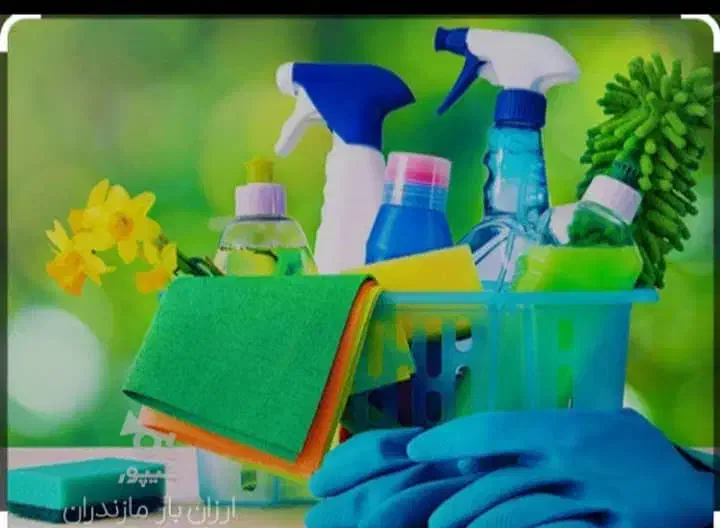 نیروی کار خانم و آقا برای نظافت بصورت روز مزد|خدمات نظافت|محمودآباد, |دیوار