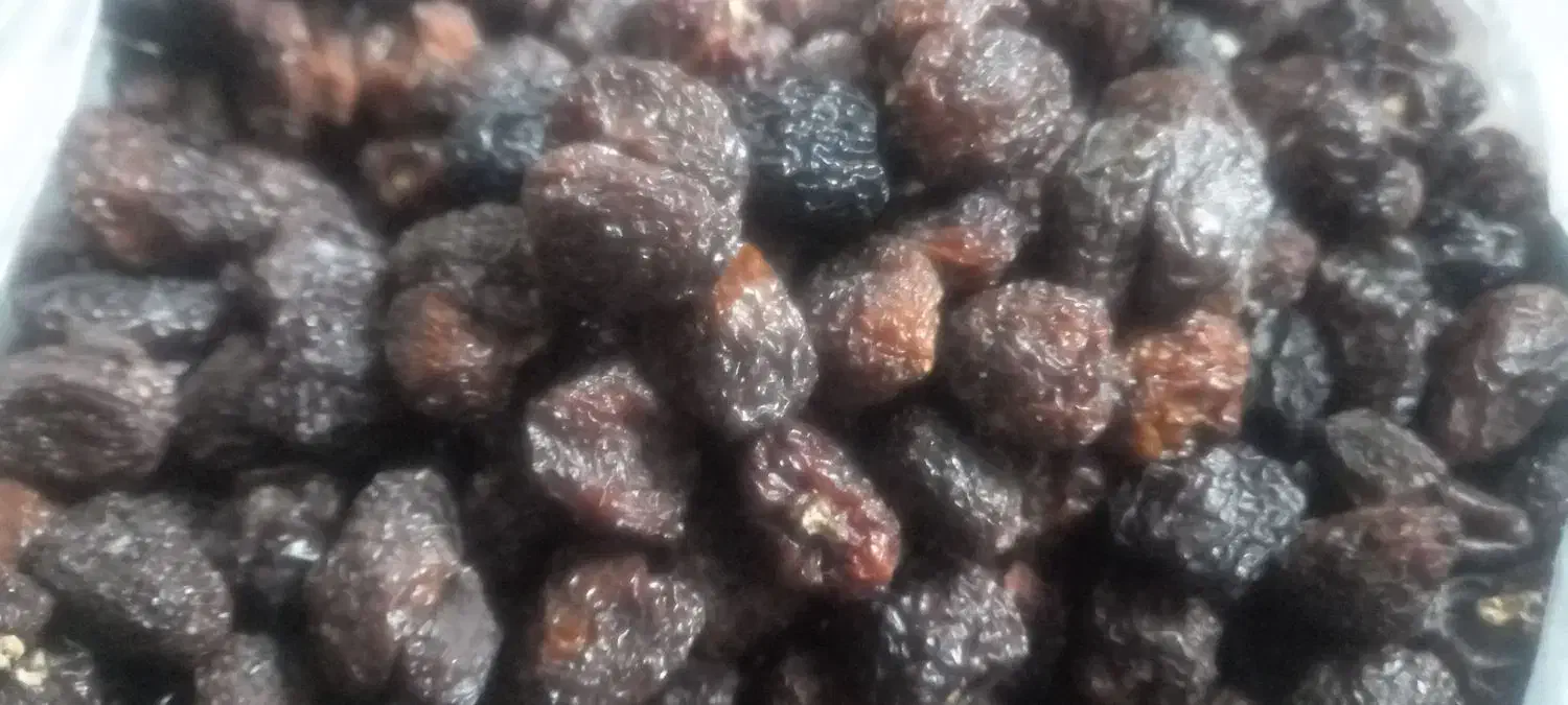 گیلاس تکدانه|حراج|بروجرد, |دیوار