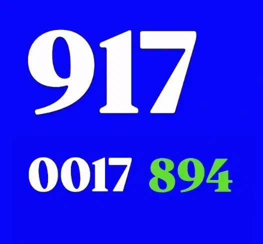 0917-0017-834|سیم‌کارت|شیراز, معالی‌آباد|دیوار