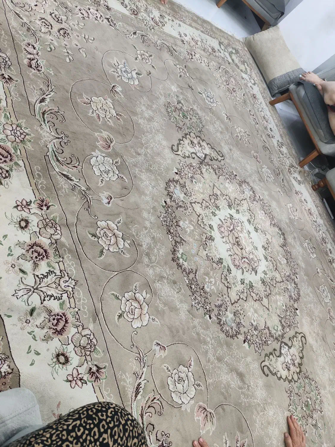 فرش ۱۲ متری|فرش|نسیم‌شهر, |دیوار