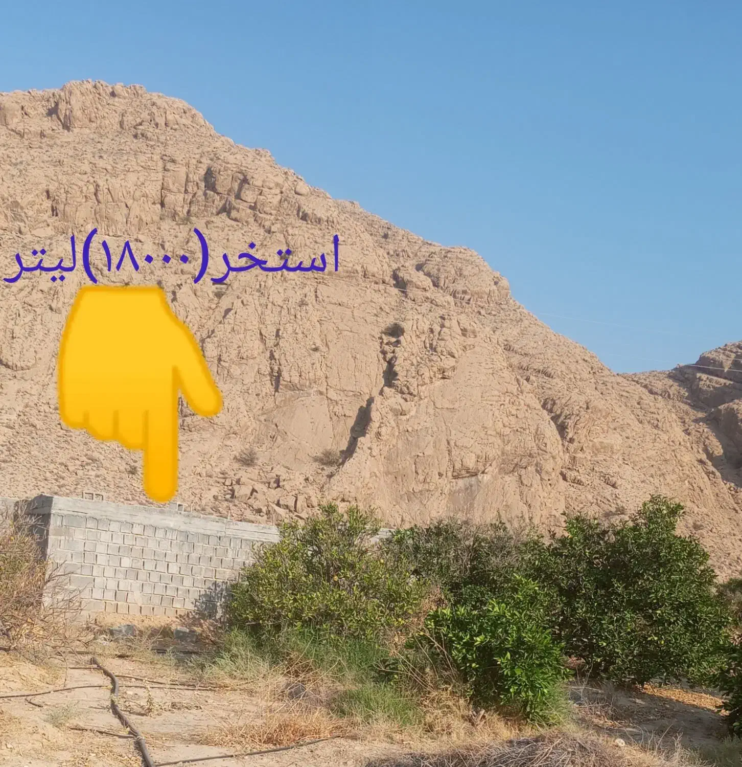 باغچه لطیف آباد(۵۰۰متر)|فروش زمین و ملک کلنگی|داراب, |دیوار
