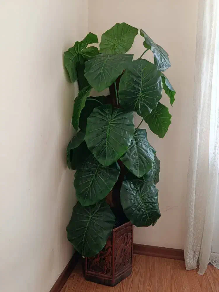 وسایل منزل|تشک تختخواب|کرمانشاه, |دیوار