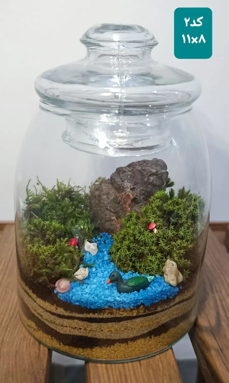 تراریوم (باغ شیشه‌ای) یک هدیه خاص و زیبا|گل و گیاه طبیعی|قم, نیروگاه|دیوار