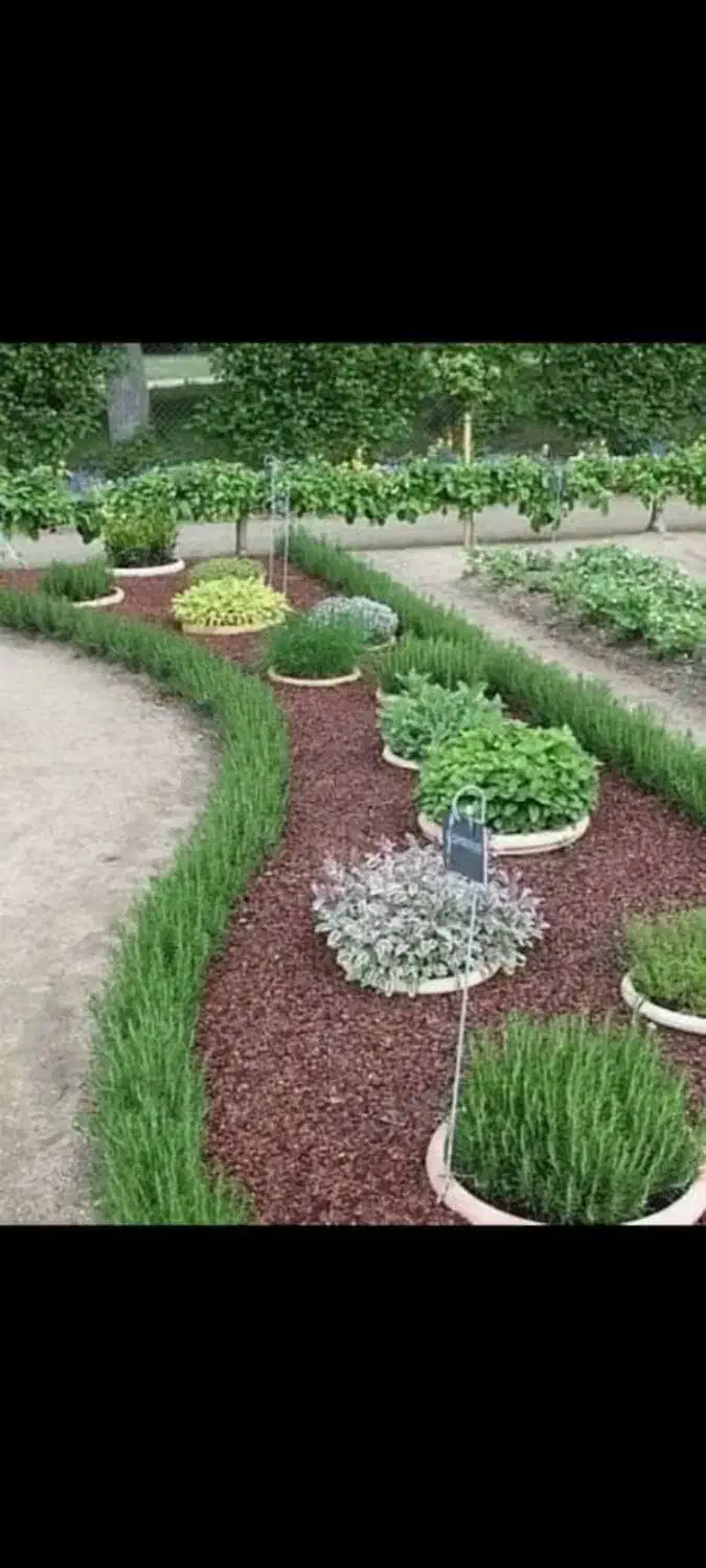 خدمات باغبانی وهرس کاری در سراسر کرج|خدمات باغبانی و درختکاری|کرج, عظیمیه|دیوار