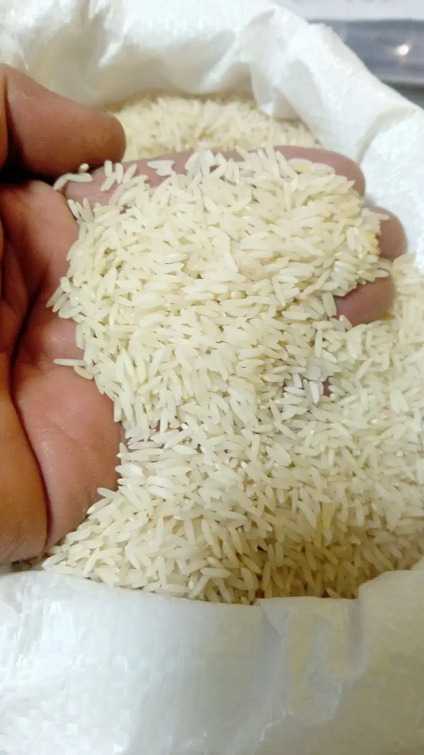 برنج طارم هاشمی|خوردنی و آشامیدنی|کرج, عظیمیه|دیوار