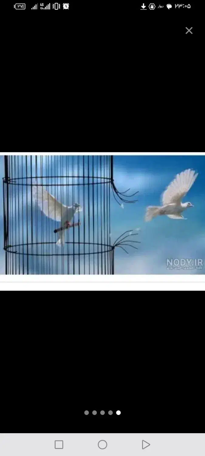 ترک اعتیاد تضمینی|خدمات آرایشگری و زیبایی|کوهسار (البرز), |دیوار