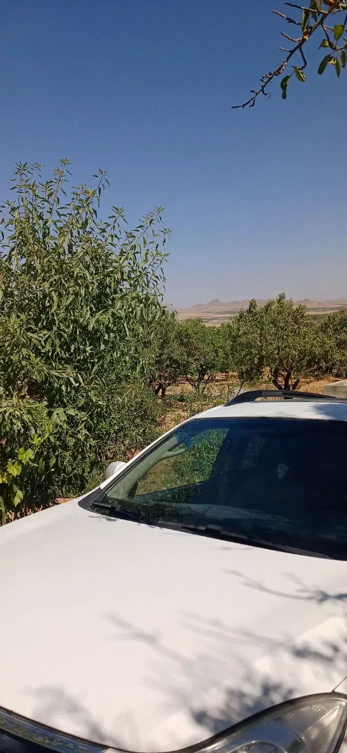 باغ بادام|فروش دفتر صنعتی، کشاورزی، تجاری|بن, |دیوار