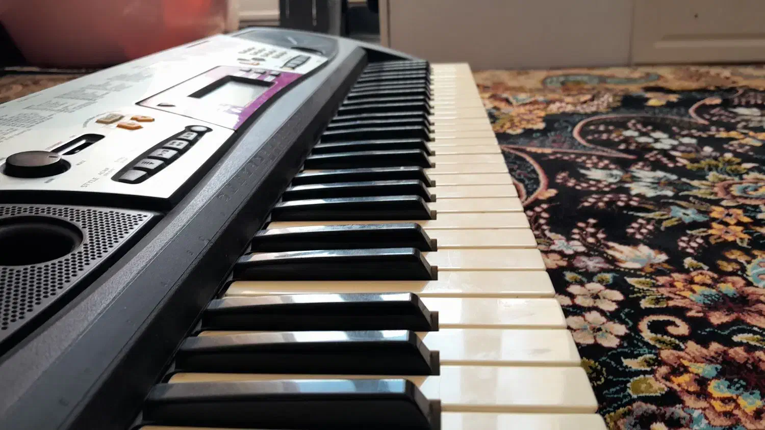 ارگ|پیانو، کیبورد، آکاردئون|قیدار, |دیوار