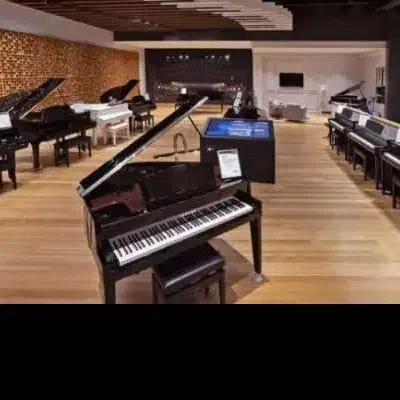 /+عرضه انواع پیانو // yamaha p|پیانو، کیبورد، آکاردئون|شیراز, بازار|دیوار