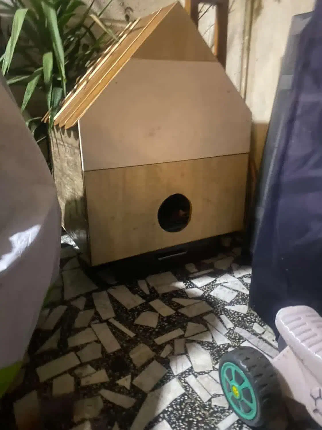 خونه چوبی مخصوص گربه و سگ|لوازم جانبی حیوانات|بابل, |دیوار