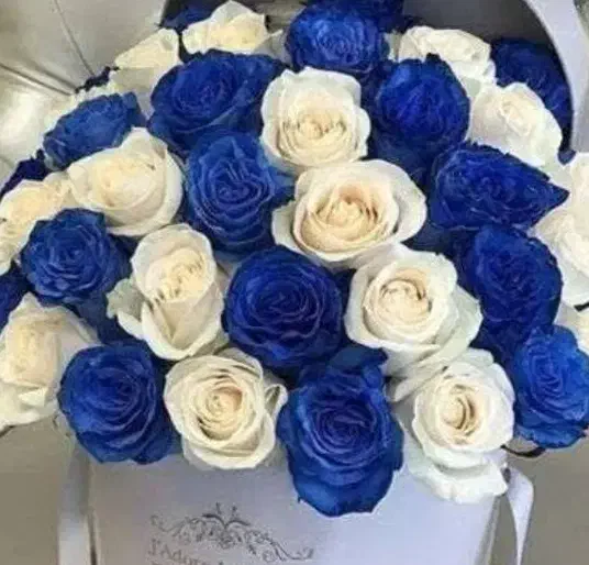 دسته گل|گل مصنوعی|بندرعباس, |دیوار