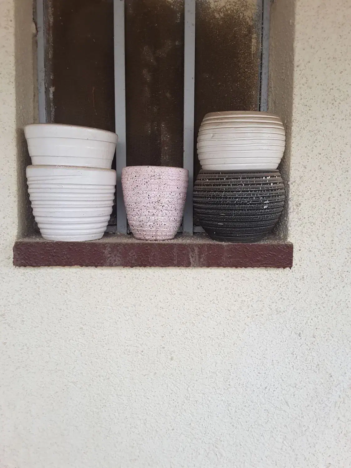 گلدان سفالی|گل و گیاه طبیعی|تهران, قصر فیروزه ۲|دیوار