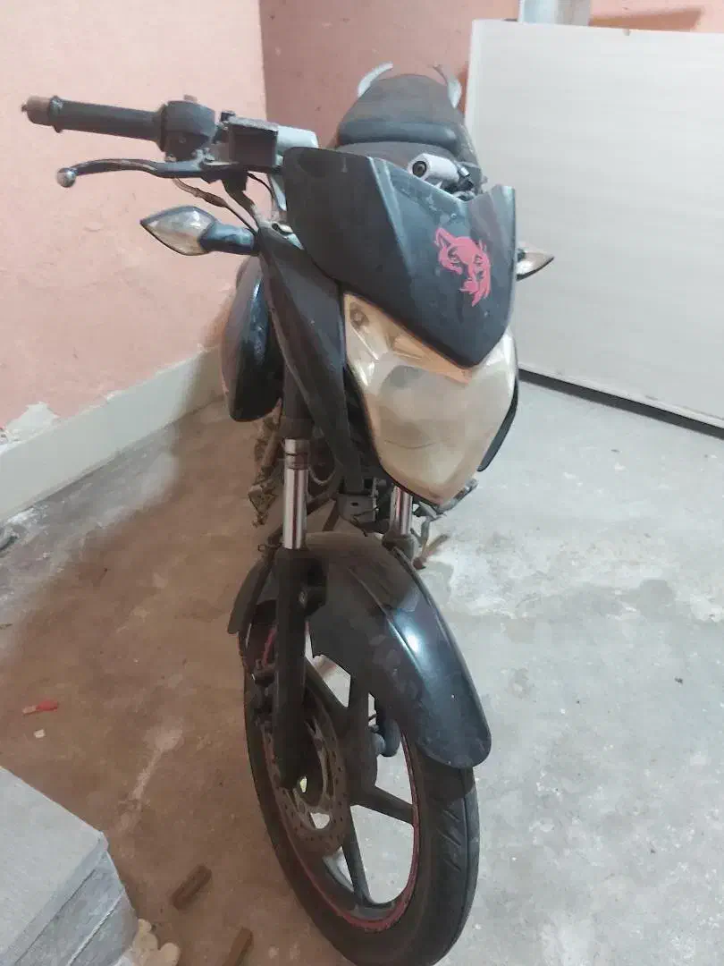 پالس ۱۳۵|موتورسیکلت|تایباد, |دیوار