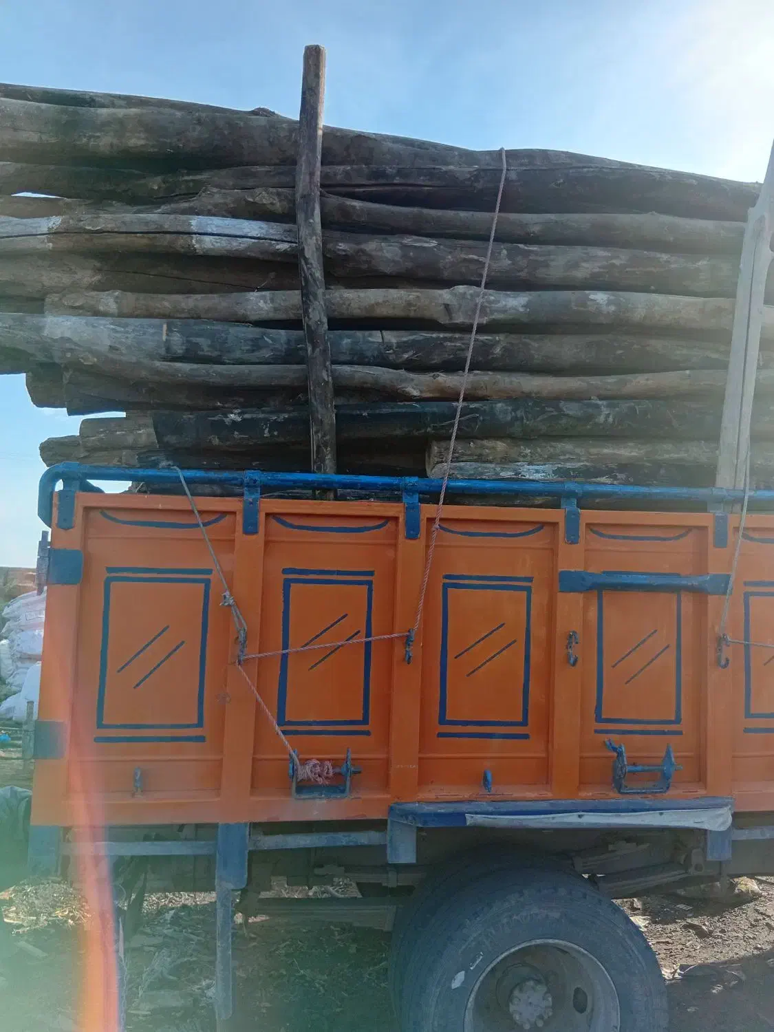 درخت و چوب شما را به روز|خدمات باغبانی و درختکاری|اردبیل, |دیوار