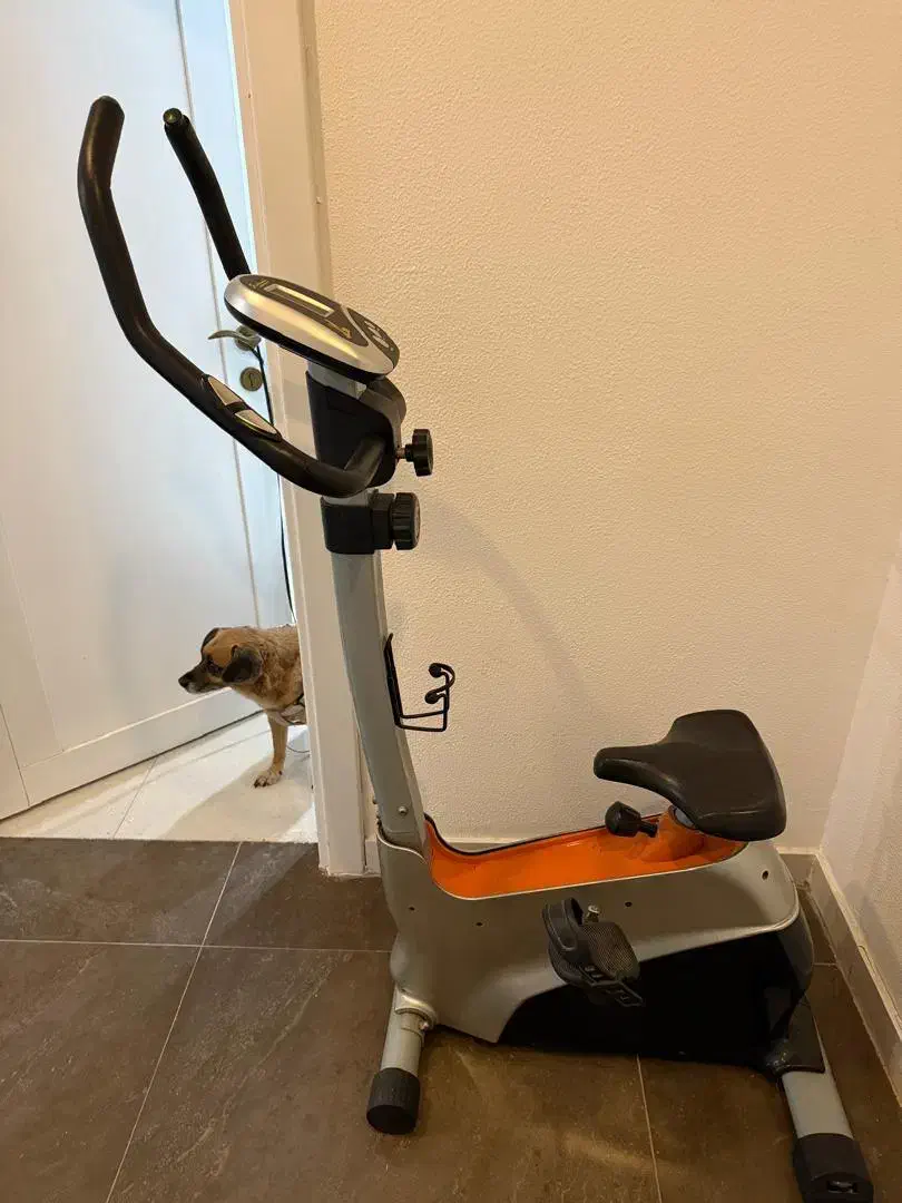 فروش دوچرخه ثابت خانگی اونیورسال|تجهیزات ورزشی|کیش, |دیوار