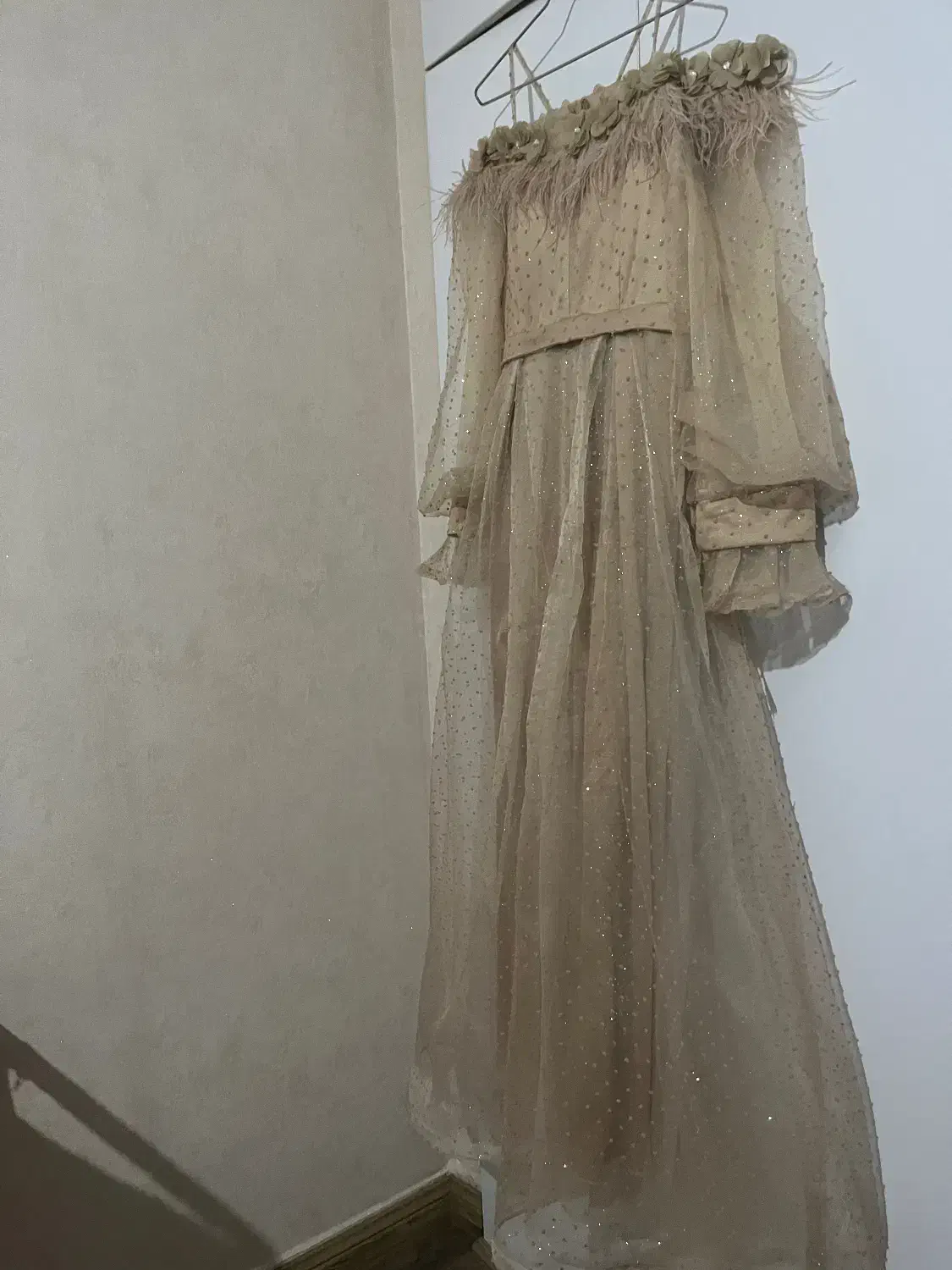 لباس مجلسی|لباس|ابهر, |دیوار