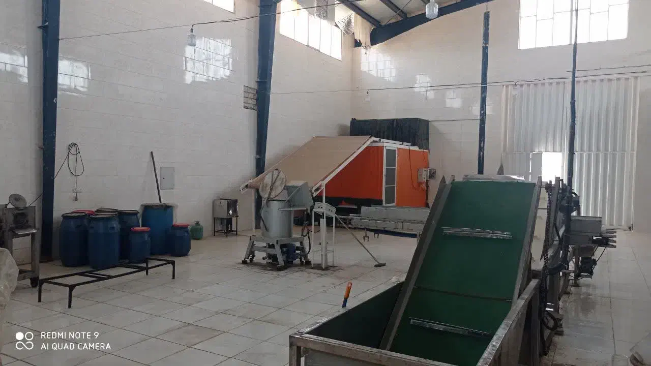 فروش خط شستشویی و  خشک کن کانتینیوس سبزیجات|ماشین‌آلات صنعتی|بادرود, |دیوار