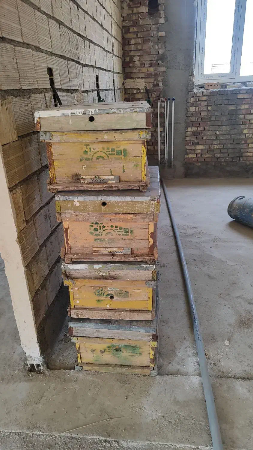 فروش کندوی زنبور عسل|ابزارآلات|جلفا, |دیوار