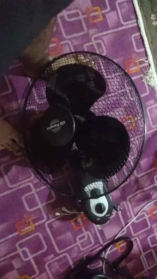 پنکه|پنکه و تصفیه‌کنندهٔ هوا|بندر کنگان, |دیوار