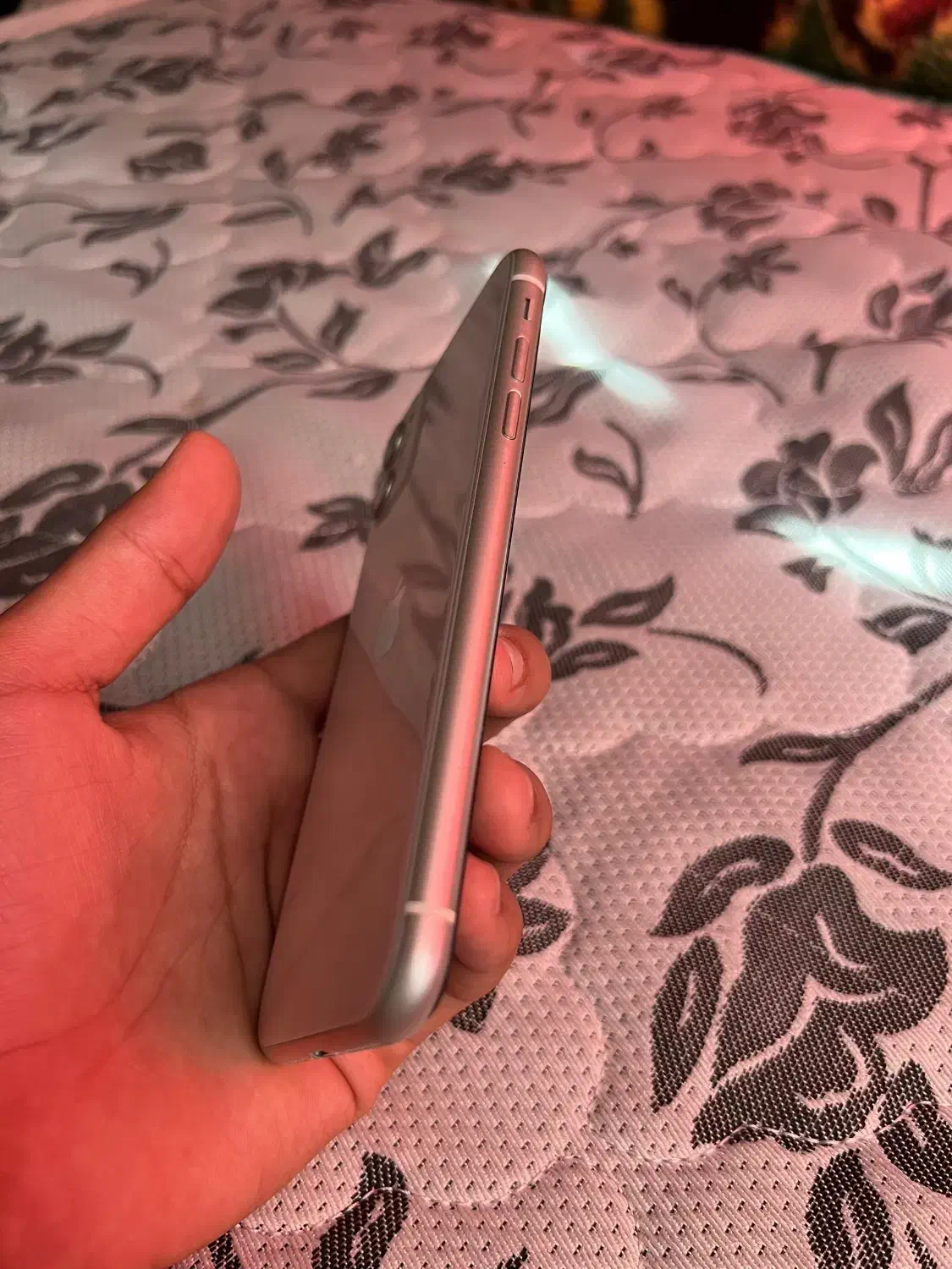 گوشی ایفون۱۱نرمال|موبایل|بندرعباس, |دیوار