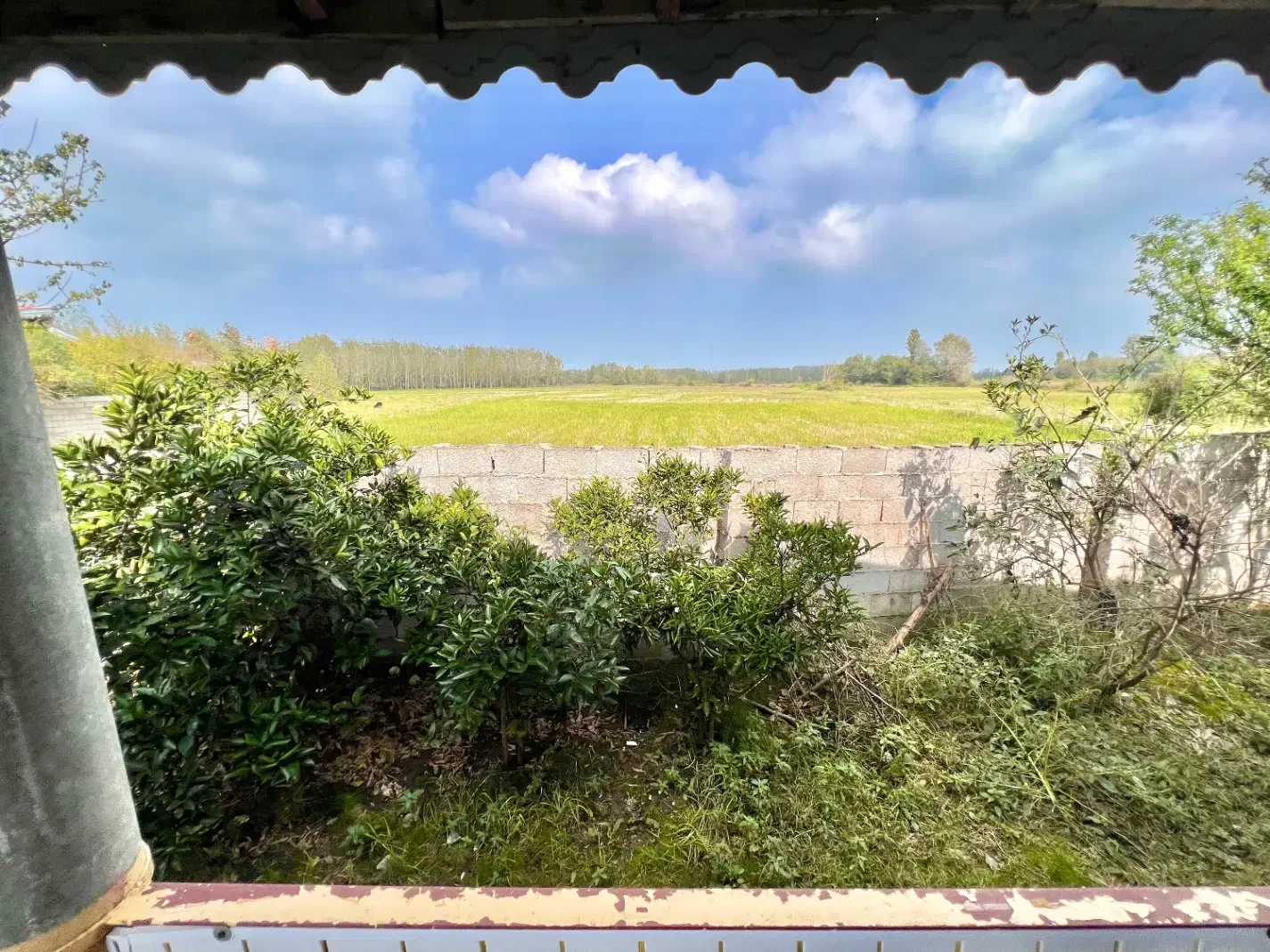 350 متر ویلاباغ پردرخت/چه ویویی /ببین فقط/خشکبیجار|فروش خانه و ویلا|رشت, استادسرا|دیوار