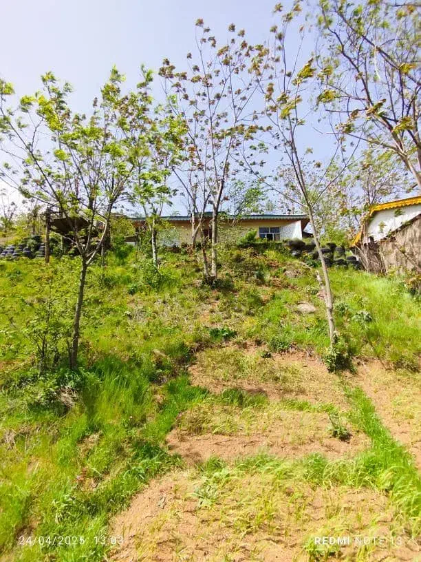 زمین ییلاقی|فروش خانه و ویلا|تالش, تالش|دیوار