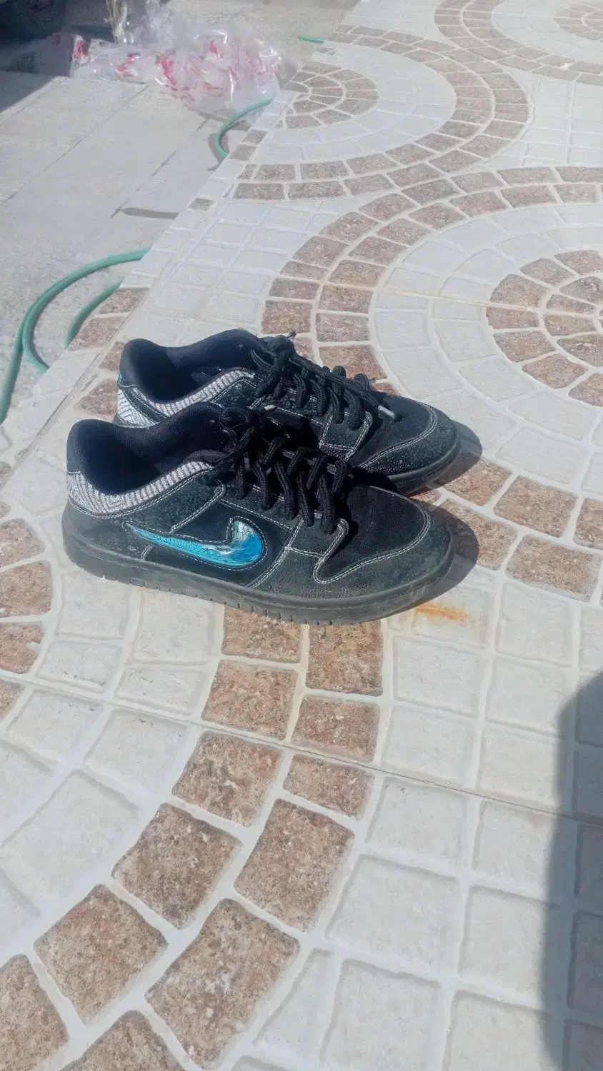 کفش نایک|کیف، کفش، کمربند|شیراز, لب آب|دیوار
