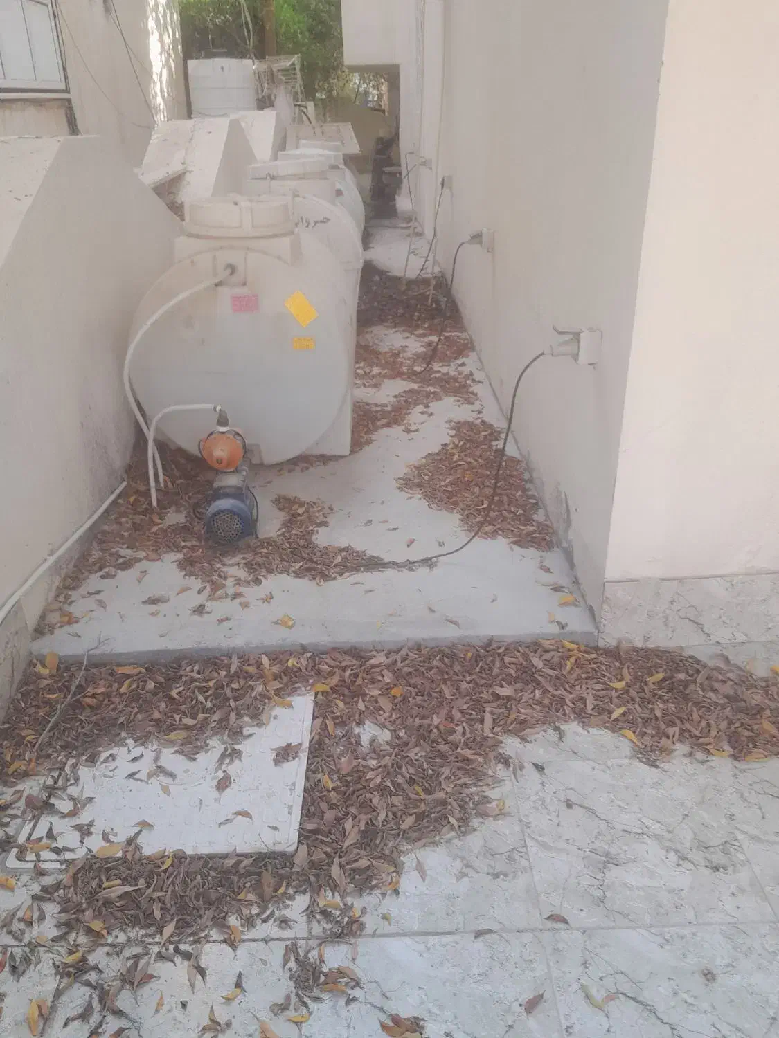 نظافت وهرجورتخریب کاری|خدمات نظافت|کیش, |دیوار