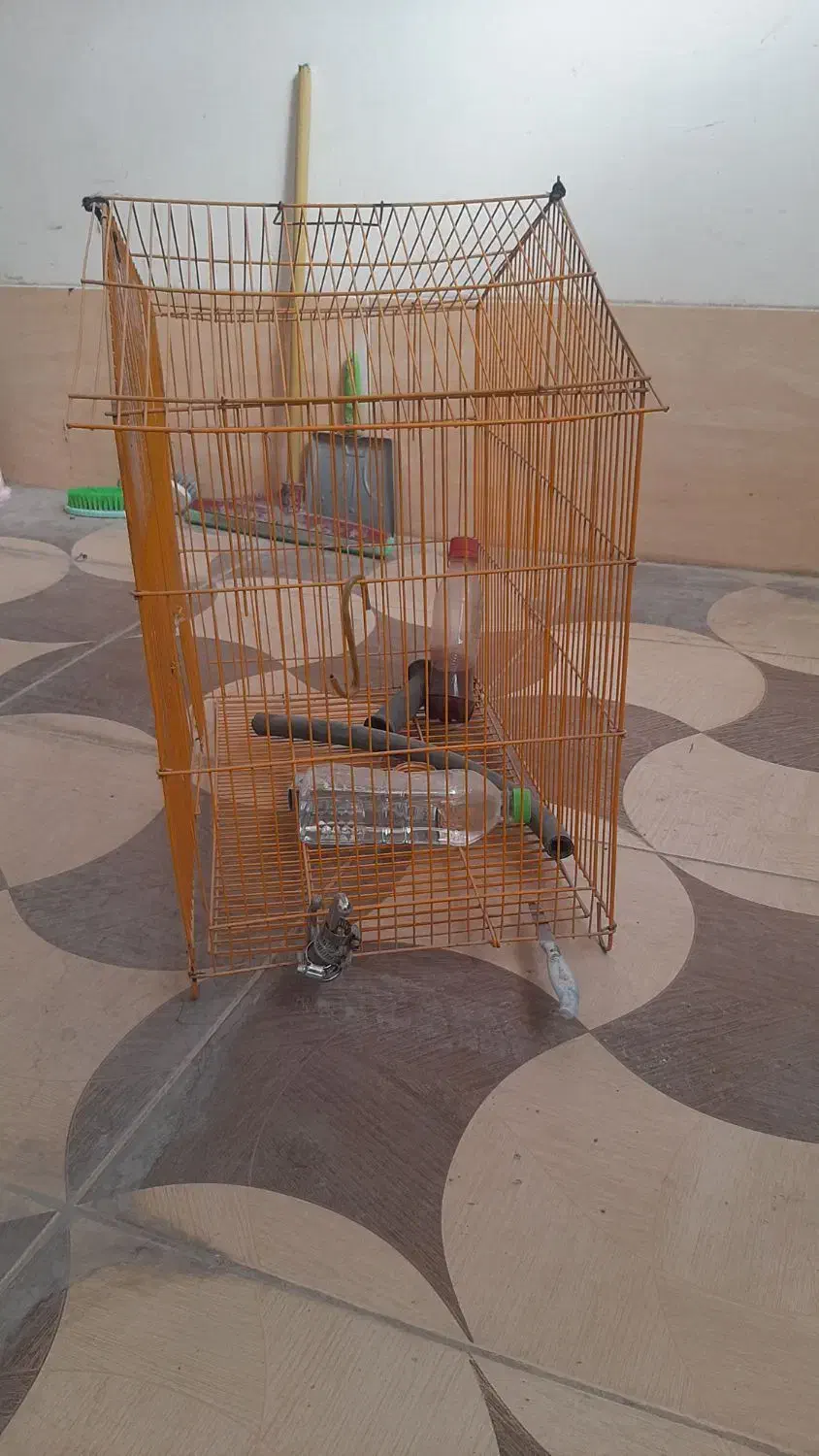 قفس پرنده|لوازم جانبی حیوانات|کرمانشاه, |دیوار
