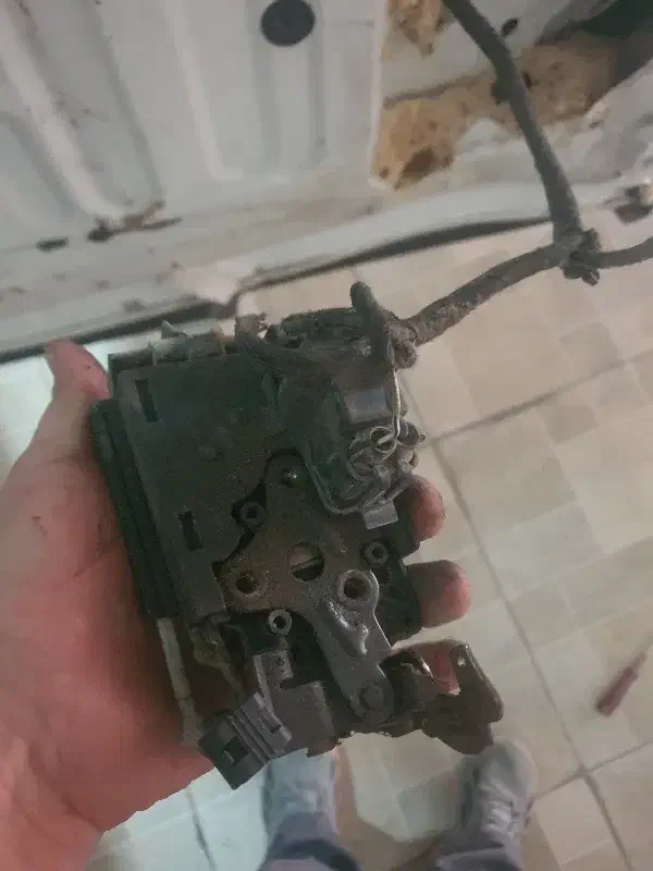 تعمیر|خدمات پیشه و مهارت|سهند, |دیوار