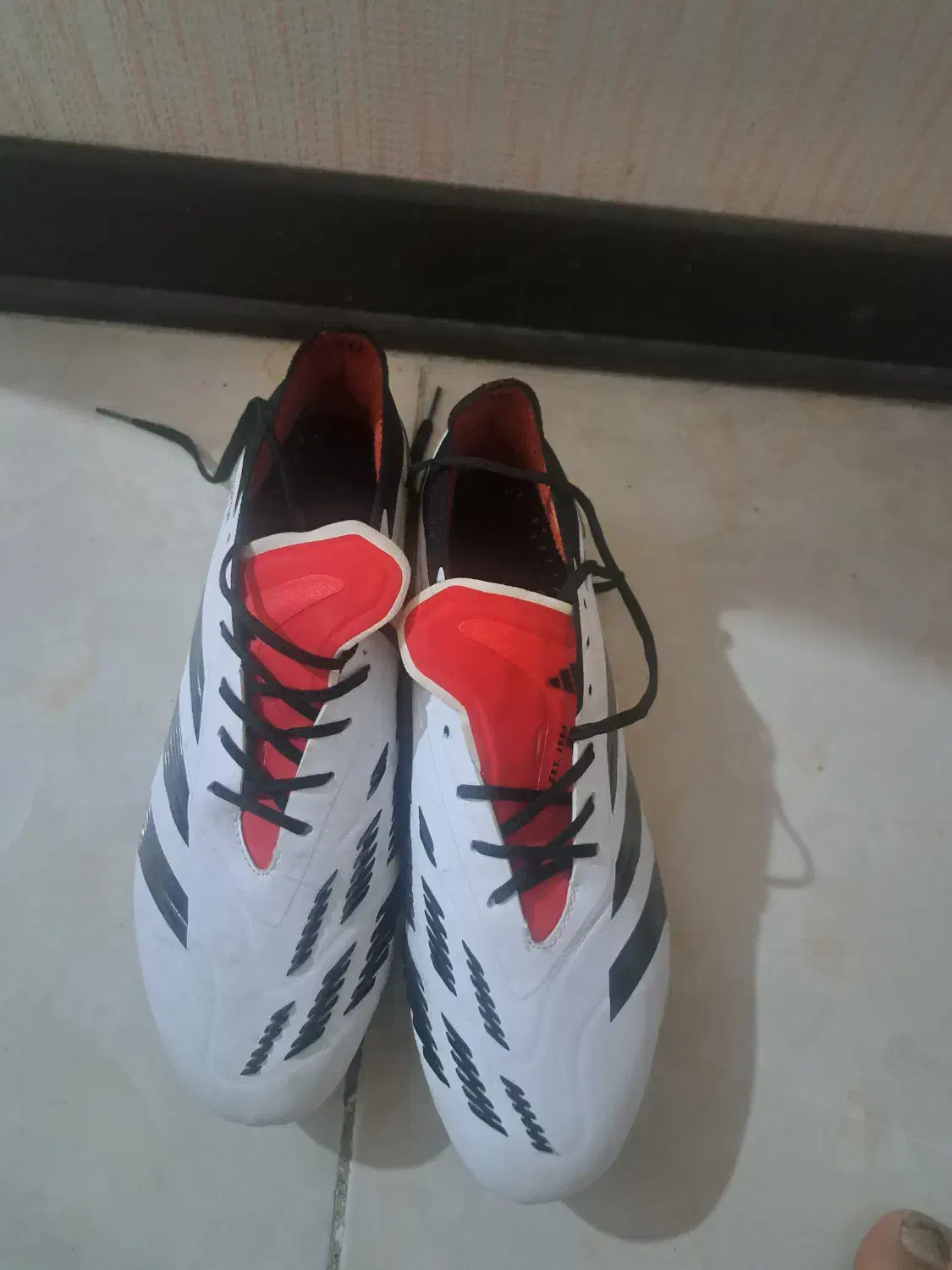 کفش فوتبال adidas predator|کیف، کفش، کمربند|شیراز, شهرک سراج‎|دیوار