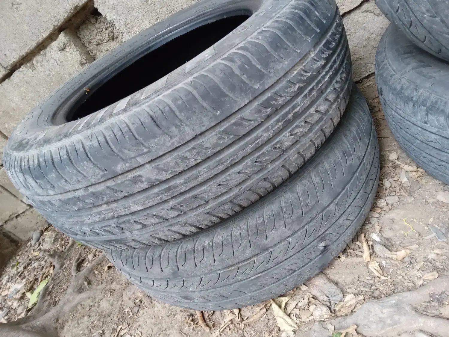 لاستیک|قطعات یدکی و لوازم جانبی|لاهیجان, بازکیاگوراب|دیوار