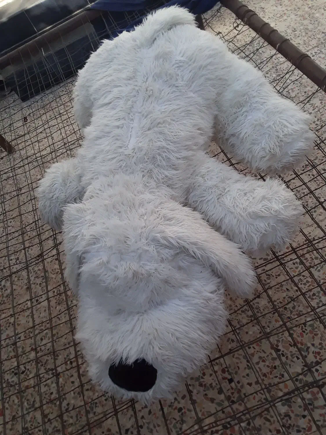 عروسک بزرگ|اسباب‌‌بازی|ایذه, |دیوار