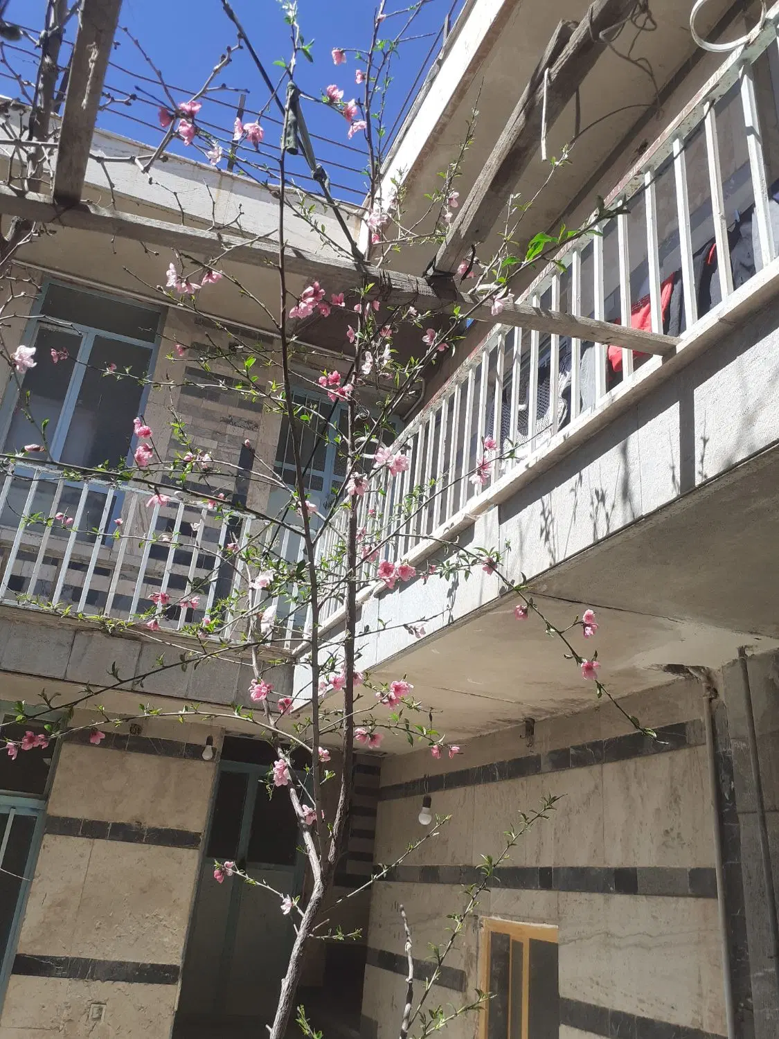 تصویر 2
