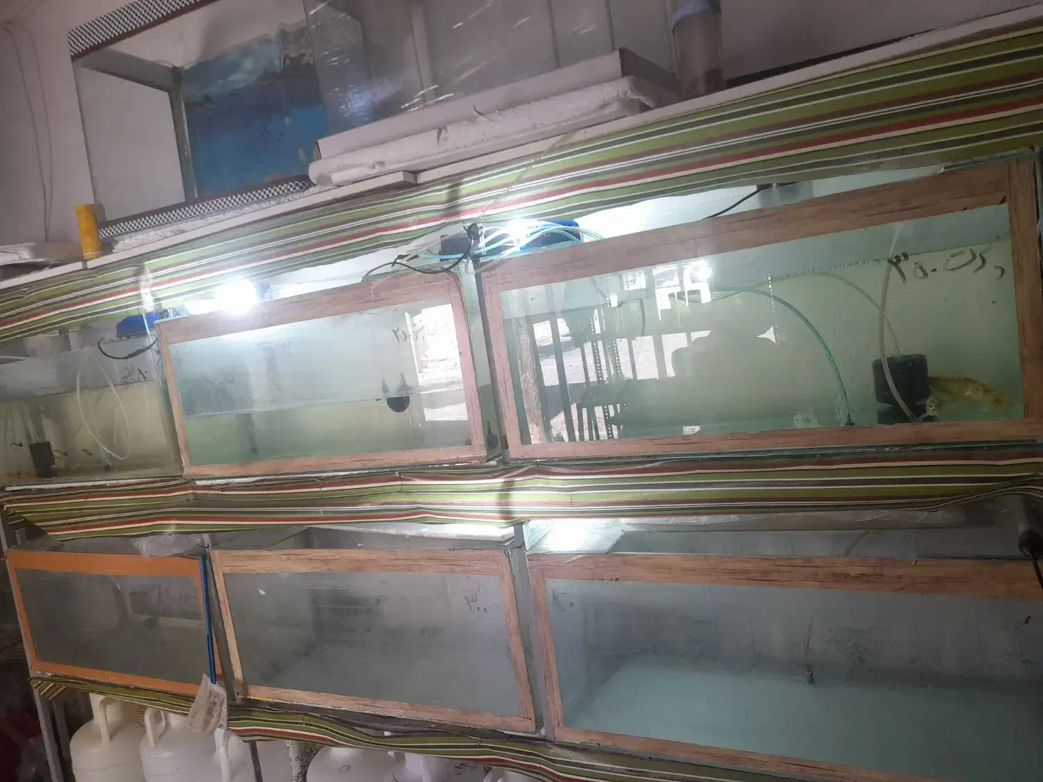 فروش آکواریوم با وسیله|ماهی|کوهدشت, |دیوار