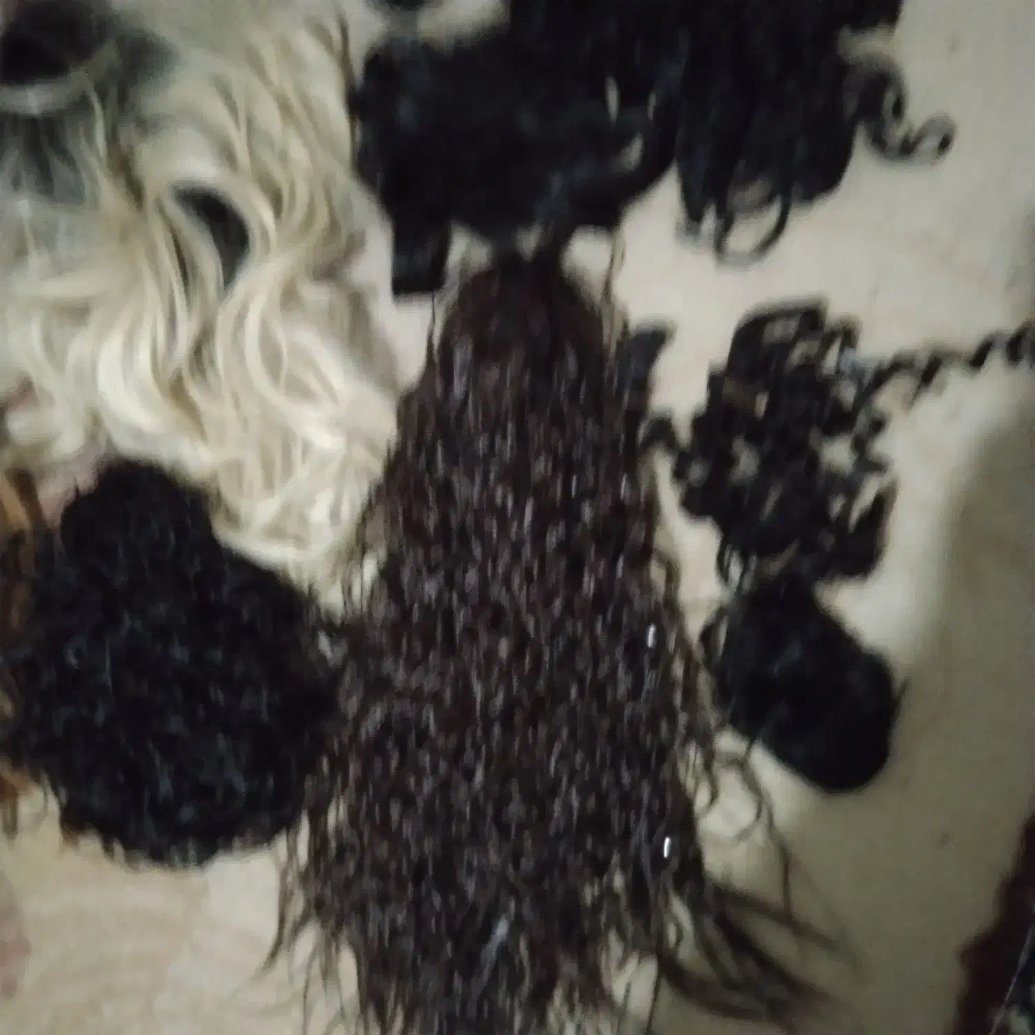 آرایش|آرایشی، بهداشتی، درمانی|تربت جام, جامرود|دیوار